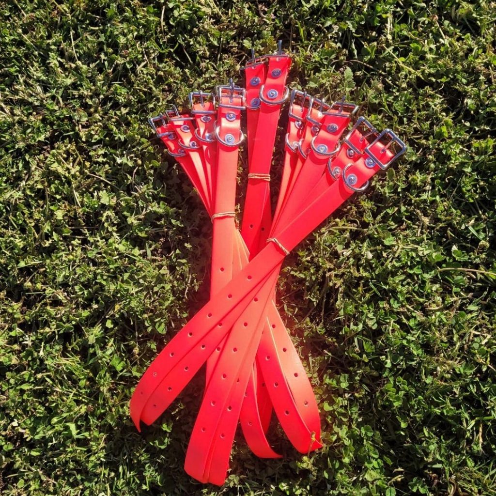 Heavy Duty PVC Dog Collars Medium Buck and Boar