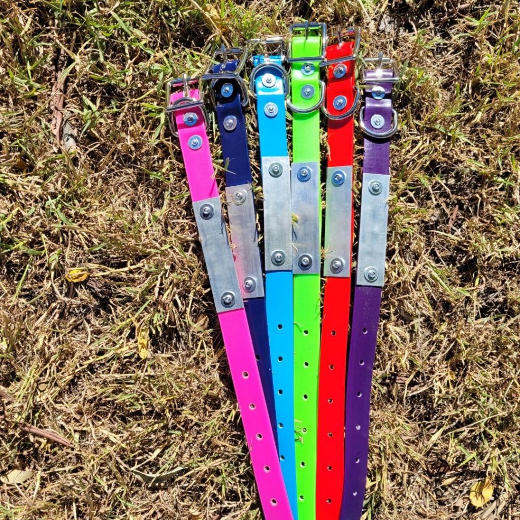 Heavy Duty PVC Dog Collars Medium Buck and Boar