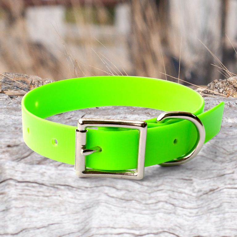 Heavy Duty PVC Dog Collars Medium Buck and Boar